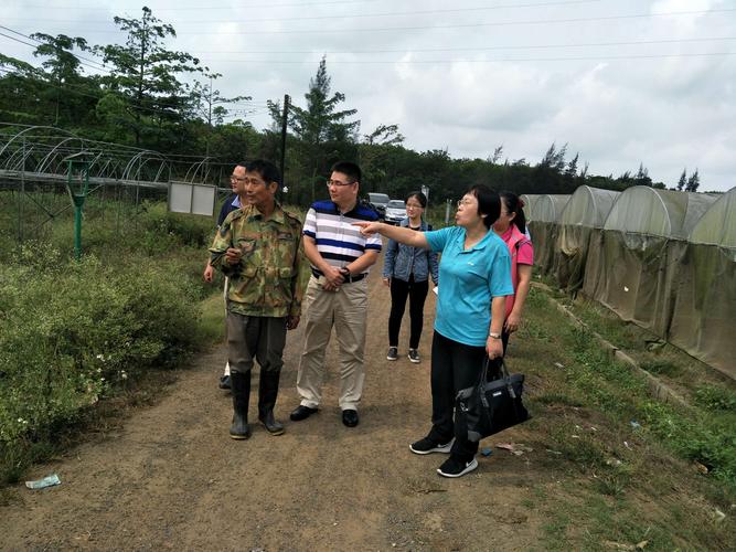 高爾夫產(chǎn)品供應(yīng)鏈流程關(guān)鍵點(diǎn)分析