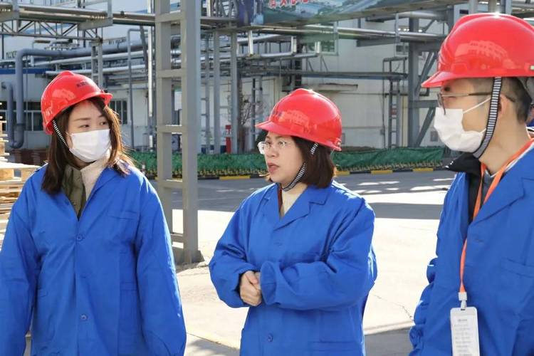 高爾夫球具套裝品牌推薦實(shí)用精選