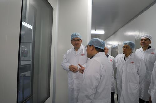 高爾夫球具套裝配件功能全面解析